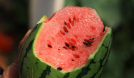 爆料吃瓜王,吃瓜王爆料，明星幕后真相大曝光！