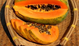 吃瓜爆料29.9,吃瓜爆料29.9背后的惊人真相