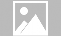 吃瓜天鹅天天爆料视频,天天爆料背后的娱乐风云